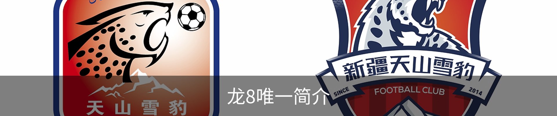 龙8唯一简介
